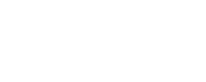 Devilskin